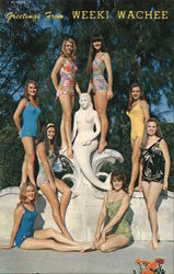 Greetings From Weeki Wachee Mermaids Postcard