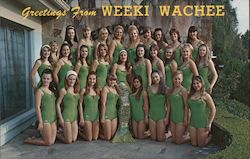 Greetings from Weeki Wachee Postcard