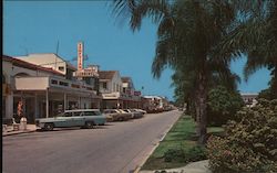 Palm Lined Boulevard Business Area Postcard