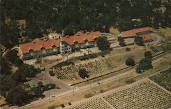 The Christian Brothers Wine and Champagne Cellar Postcard