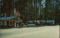Muir Motel Postcard