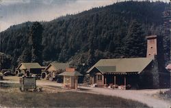 Brower's Lodge Leggett, CA Postcard Postcard Postcard