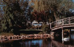 Spring Lakes Postcard