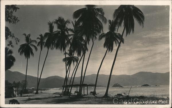 Beach Scene, Palm Trees Acapulco Mexico