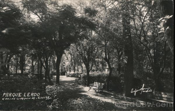 Parque Lerdo Chihuahua Mexico