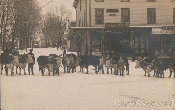 Oxen Team in Winter, G. F. Butler Variety Store Hillsborough New Hampshire