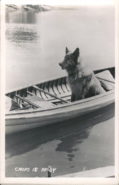 Dog in Canoe: Chips is Ready Dogs