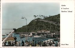 Harbor and Seaplane Postcard