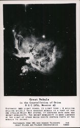 Great Nebula in the Constellation of Orion Postcard