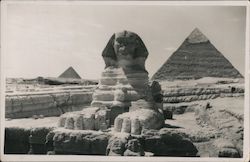 Sphinx Postcard