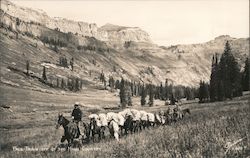 Pack Train Off of the High Country Cowboy Western Postcard Postcard Postcard