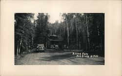 Aspen Park Red River, NM Postcard Postcard Postcard