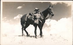 Canadian Mountie and Horse Postcard