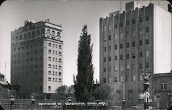 Edificios de Chihuahua Postcard