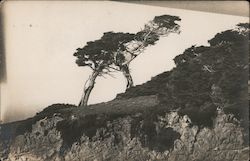 Stock #697109 Thumbnail