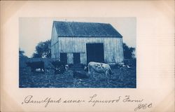 Barnyard Scene, Lynnwood Farm, With Cows Carmel, Indiana? Postcard