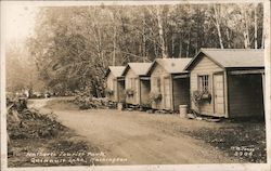 Halbert's Tourist Park, Quinault Lake Postcard