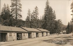 Brown's Auto Park Postcard