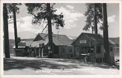 Wilsted's Camp on the Shores of Big Bear Lake Postcard