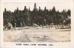 Lake Area, Camp Mather Postcard