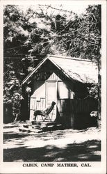 Cabin, Camp Mather Postcard