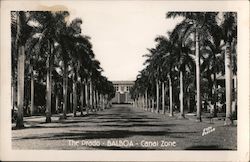 The Prado - Canal Zone Balboa, CZ Panama Postcard Postcard Postcard