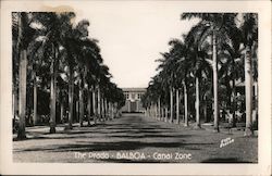 The Prado - Canal Zone Postcard