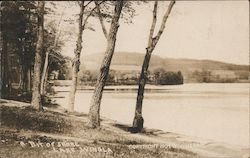 A Bit of Shore Lake Winola, PA Postcard Postcard Postcard