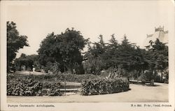 Parque Centenario Antofagasta Postcard