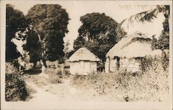 Native Huts Postcard