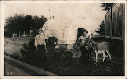 1940 Arizona Duke, Dudley Starn & Bashful Covered Wagon Donkeys Postcard