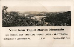 View of Top of Martin Mountain Postcard