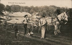 I caught these by myself. Postcard