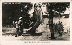 The Kind We Catch Postcard