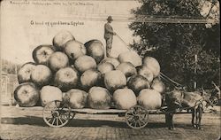 A Load of Good Iowa Apples Postcard