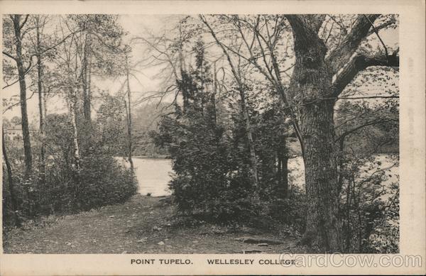Point Tupelo, Wellesley College Massachusetts