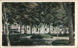 Scene in Auditorium Park Postcard