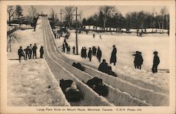 Large Park Slide on Mount Royal Postcard