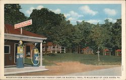 Mountain View Service Station and Tourist Camp on Bucktail Trail Postcard