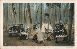 A Yellowstone Public Automobile Camp Postcard