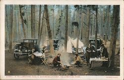 A Yellowstone Public Automobile Camp Yellowstone National Park, WY Postcard Postcard Postcard