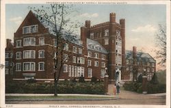 Risley Hall, Cornell University Ithaca, NY Postcard Postcard Postcard