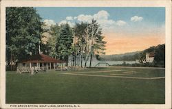 Pine Grove Spring Golf Links Postcard