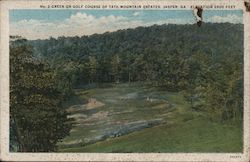 No. 2 Green on Golf Course of Tate Mountain Estates Postcard