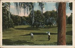 One of Florida's Beautiful Golf Courses Postcard Postcard Postcard