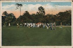 One of the Many Wonderful Golf Links in Florida Postcard