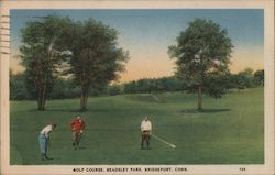 Golf Course, Beadsley Park Bridgeport, CT Postcard Postcard Postcard
