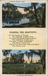 A Florida Beauty Spot Postcard