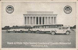 Black and White Sightseeing Coaches at Lincoln Memorial Postcard