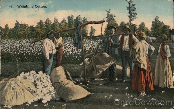 Farmers and Slaves Weighing Cotton Black Americana